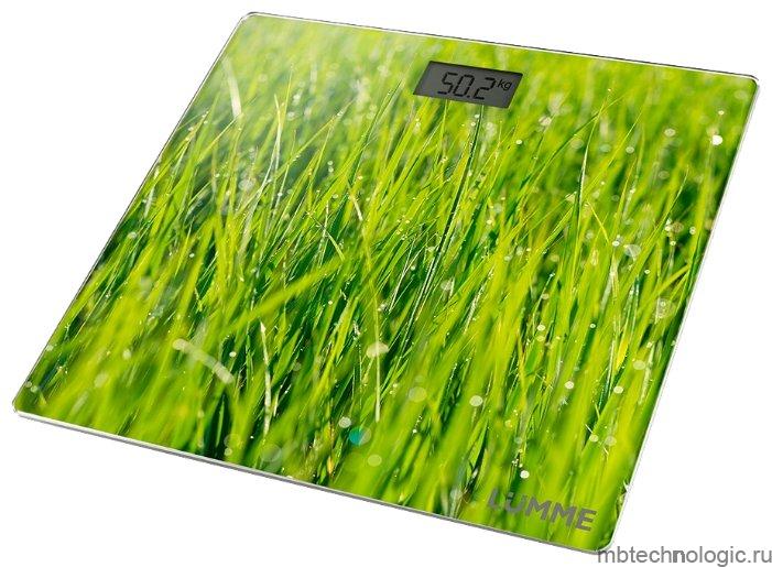 Lumme LU-1329 young grass