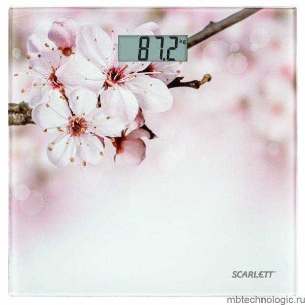 Scarlett SC-BS33E053