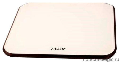 VIGOR HX-8220