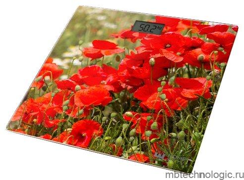 HE-SC906 Red Poppies