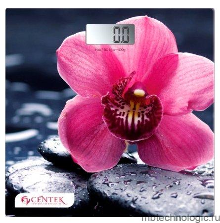 CT-2421 Orchid