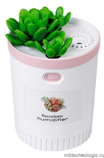 Witspace Succulents Humidifier