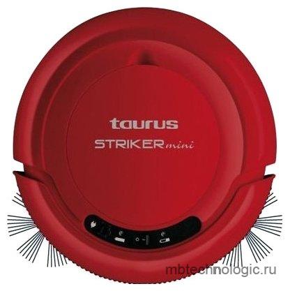 Taurus Striker Mini