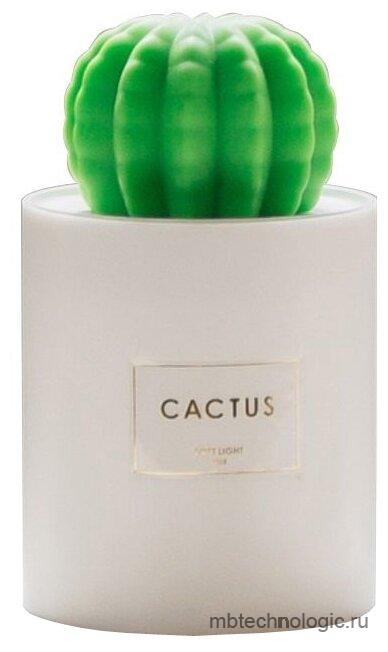 GSMIN Cactus