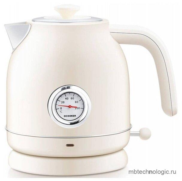 Qcooker Electric Kettle